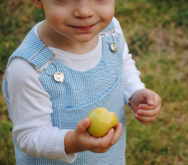 Buttons & Buckles Overall and Shortall